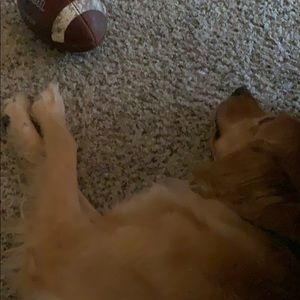 Meet your Posher, Jack